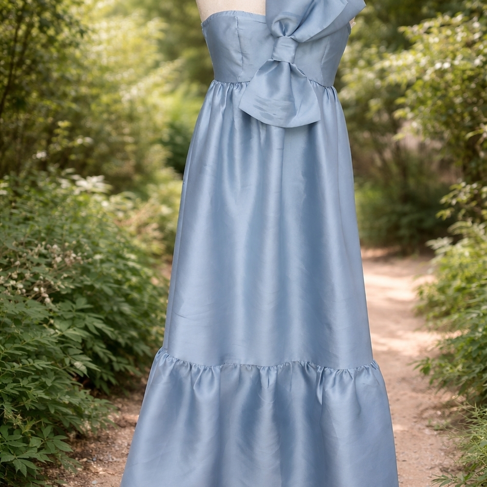 Petal & Pup Blue Maxi Dress - Picture 2 of 10